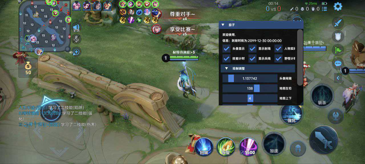 王者荣耀「AK」辅助