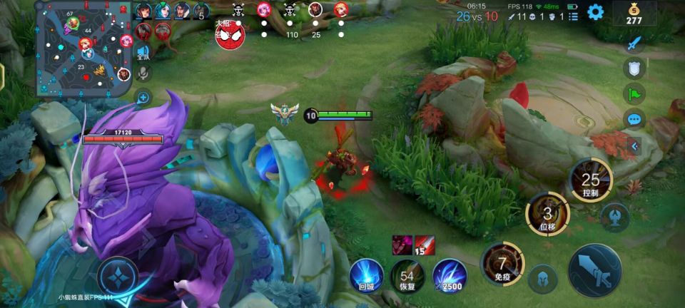 王者荣耀「柠檬茶」辅助